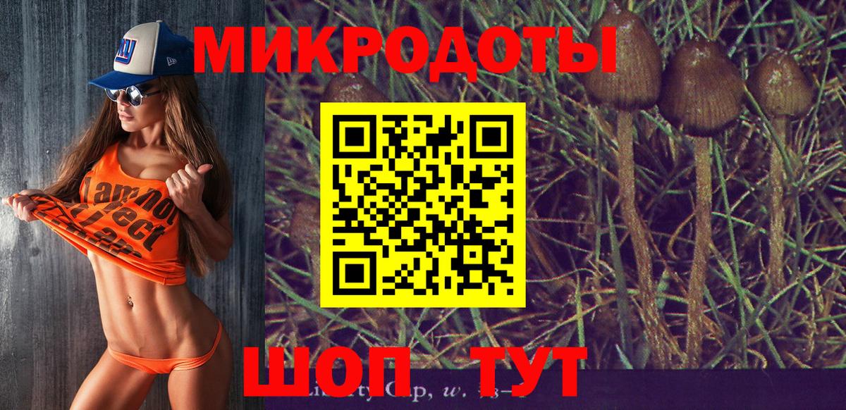Псилоцибиновые грибы Psilocybe  Псилоцибиновые грибы прущие грибы  Нижневартовск  Вход с VPN 